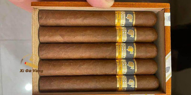 Cohiba là thương hiệu xì gà nổi tiếng nhất của Cuba.